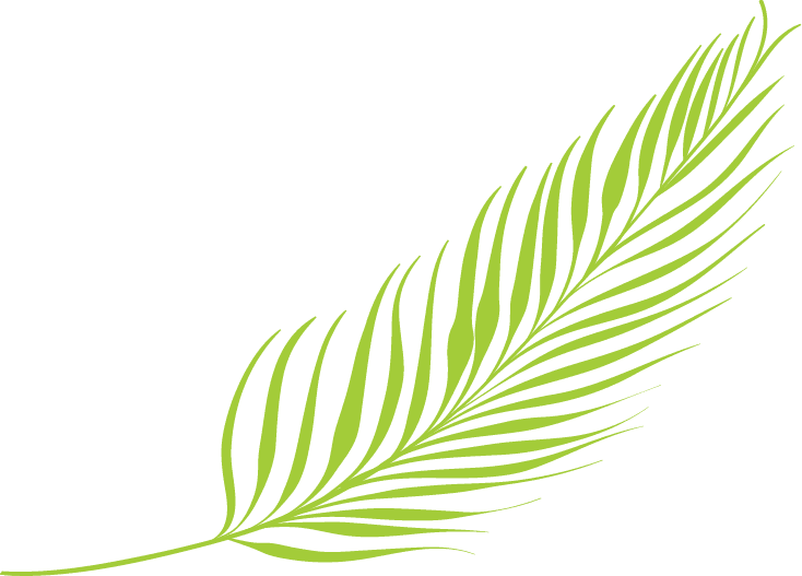 bottom leaf